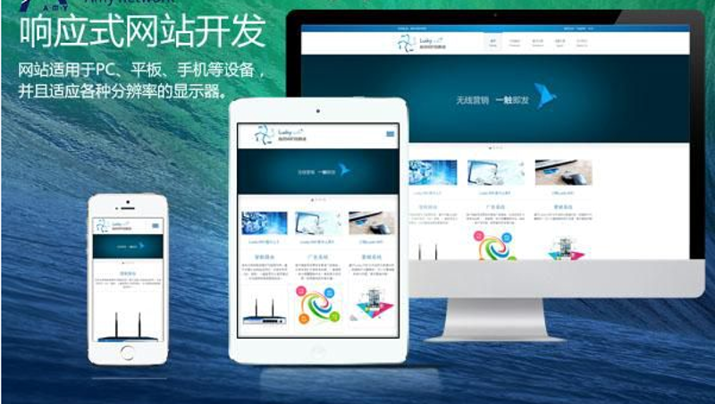 企业官网定制:选择专业团队还是DIY?